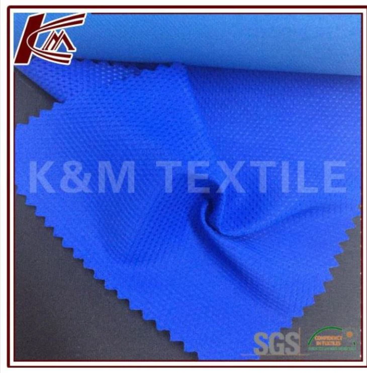 Polyester Taslan Fabric