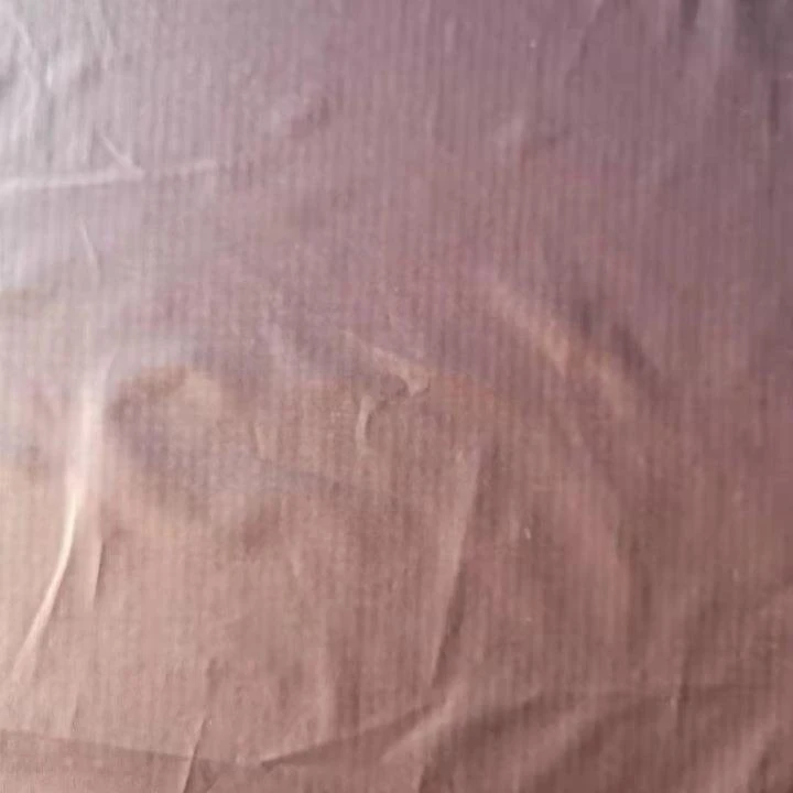 Rip stop Pongee Fabric 1
