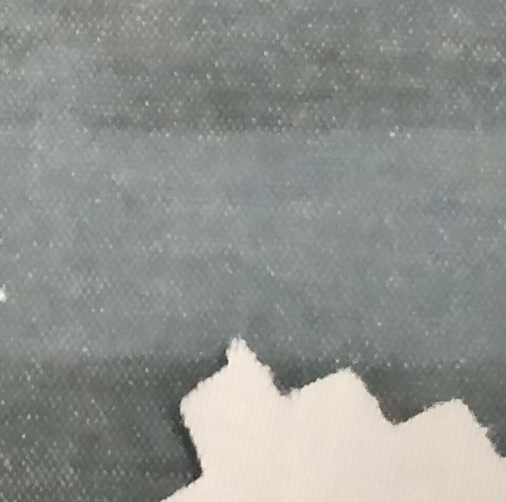 TC Stetch Printing Fabric