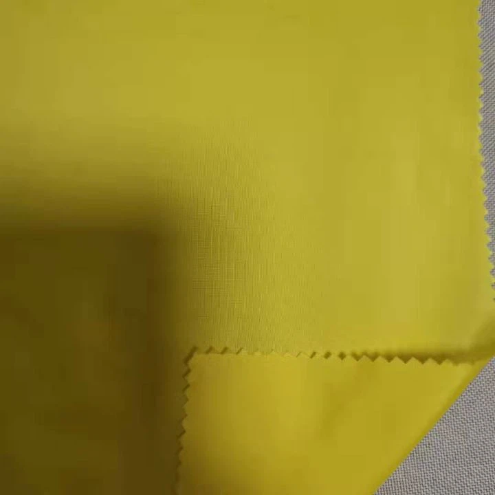Nylon66 Taffeta Fabric