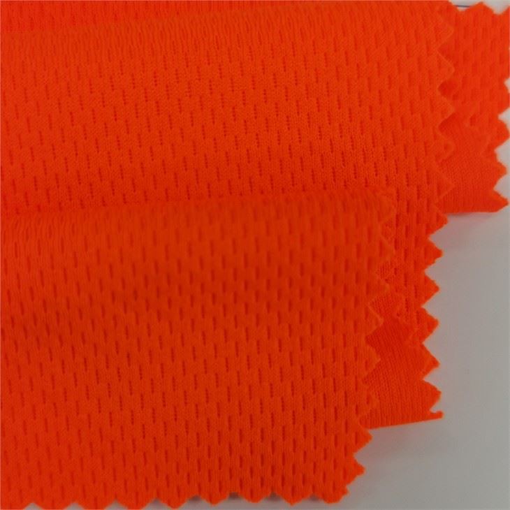 Bird Eye Mesh Fabric
